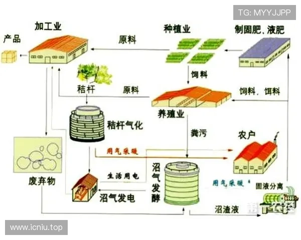 以九零企业家为中心的新时代创新与可持续发展路径研究趋势分析 以九零企业家为中心的新时代创新与可持续发展路径研究趋势分析